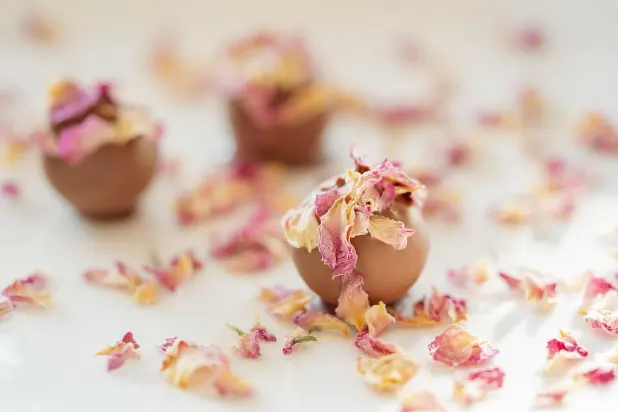 Tusk Casino Aip Android/iOS